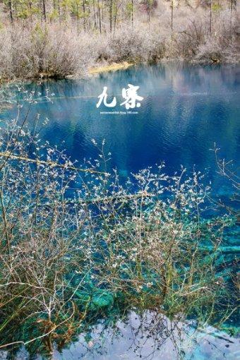 不是江南，是济南！明水古城保姆级游玩攻略一定要看！