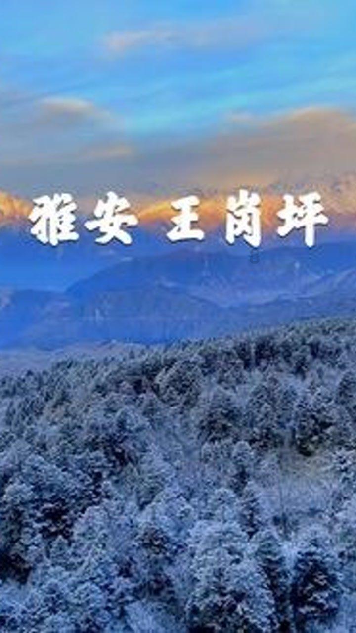 失事的飞机逃脱