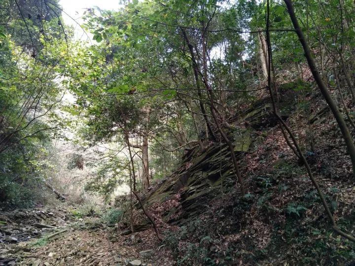甲醛及VOC气候箱