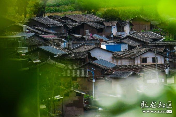 女司机将车乱停乱放，保安让其留下电话，不料被说想吃天鹅肉游戏画面